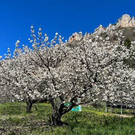 Du Vallon Des Sources *