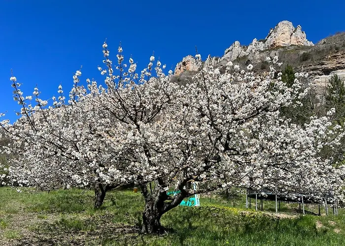 Du Vallon Des Sources *